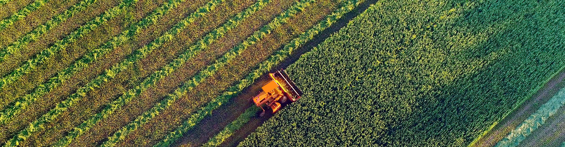 Vrednosti emisij snovi v zraku